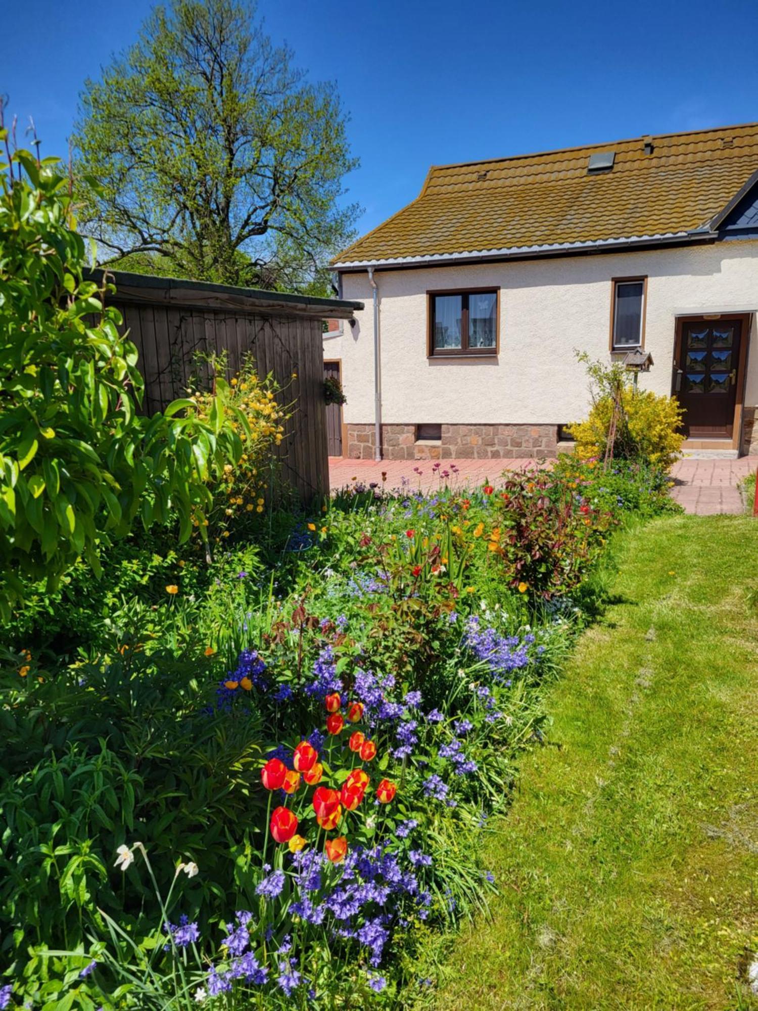 Ferienhaus Keppler Im Erzgebirge Sayda Extérieur photo
